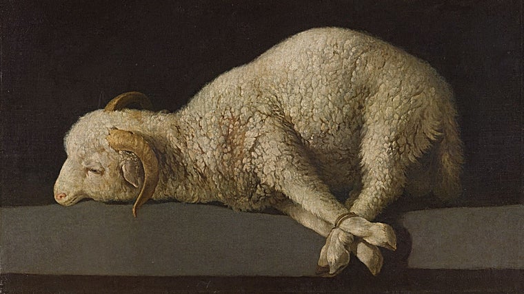 'Agnus Dei', de Zurbarán
